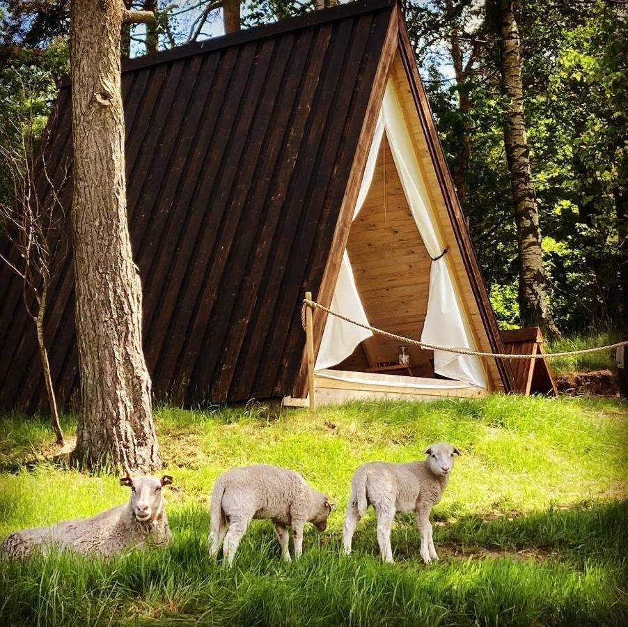 Sandfallet Glamping Лагольм Екстер'єр фото
